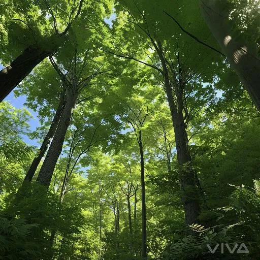 Image to Image