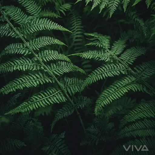 Image to Image