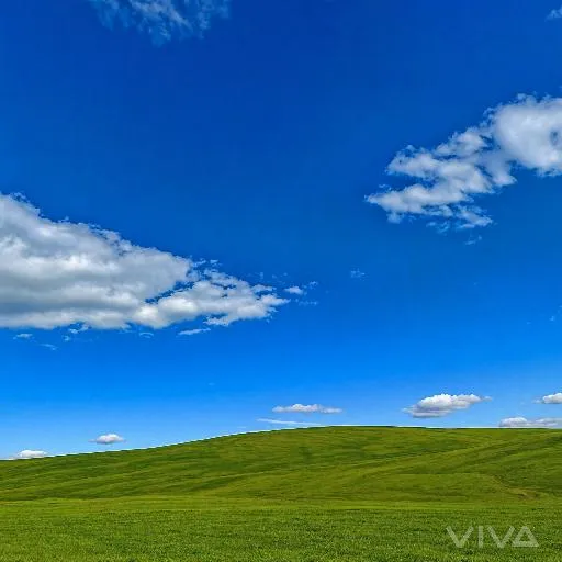 Image to Image
